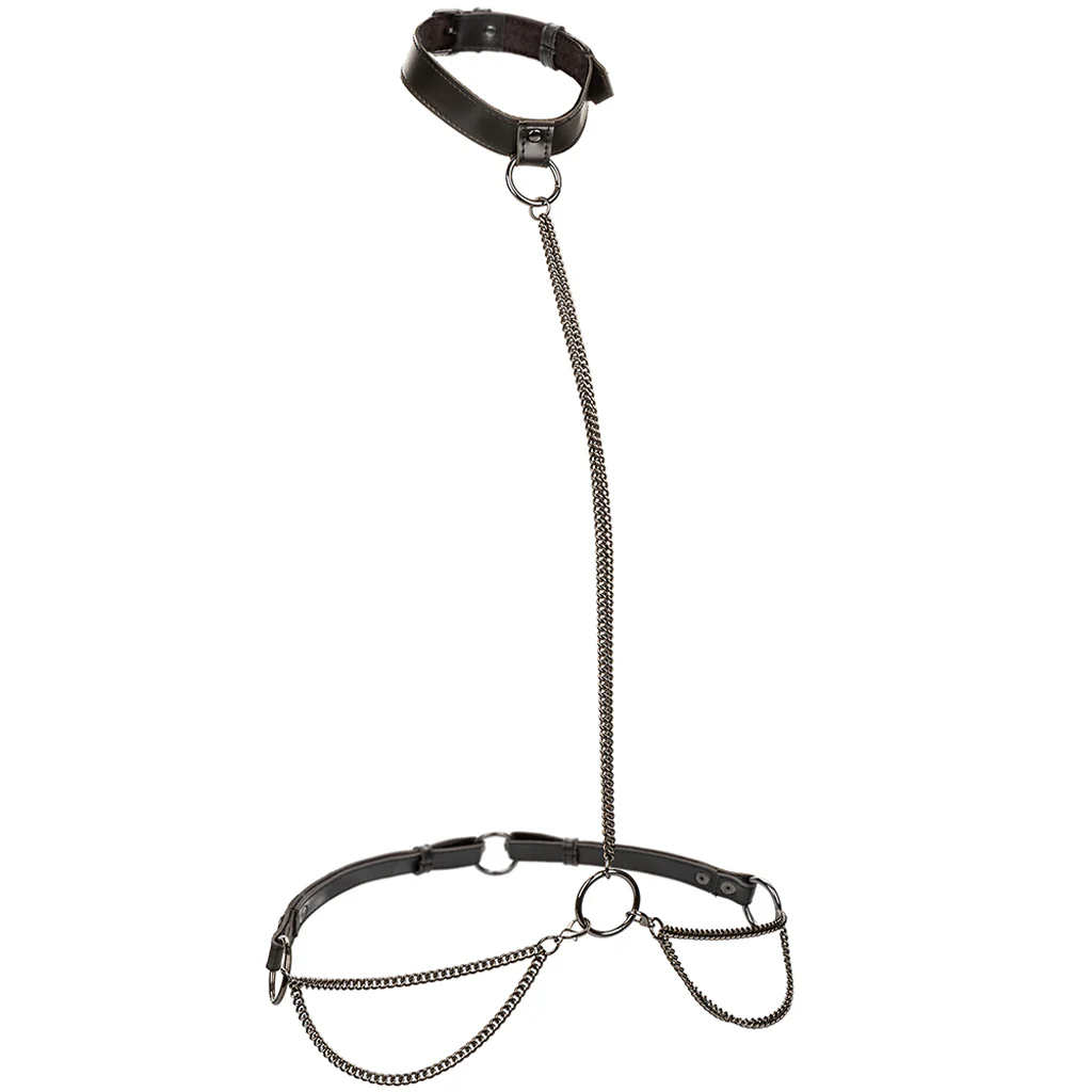 1089-euphoria-chain-collar-leash-xl-1.webp