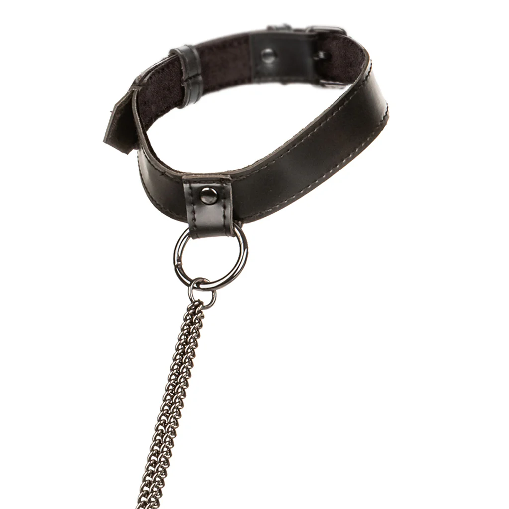 1089-euphoria-chain-collar-leash-xl-1.webp