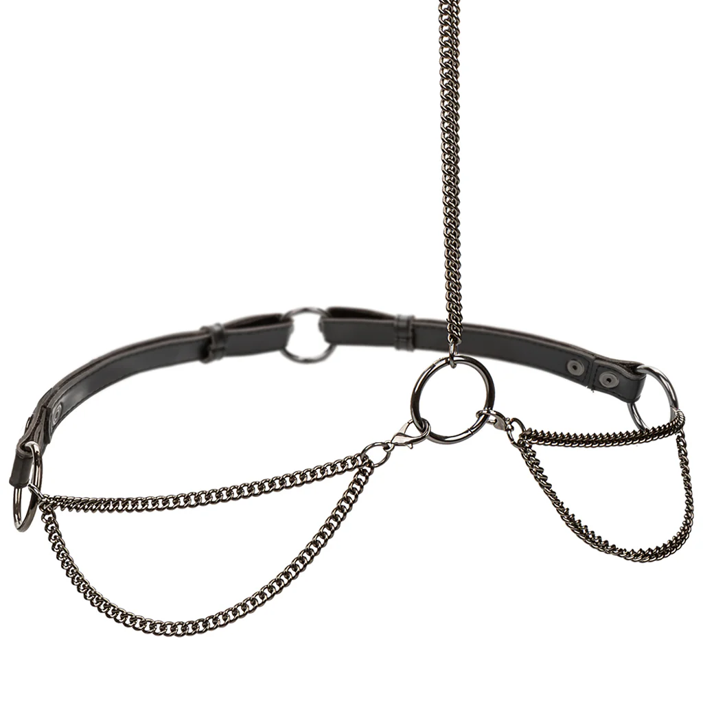 1089-euphoria-chain-collar-leash-xl-1.webp