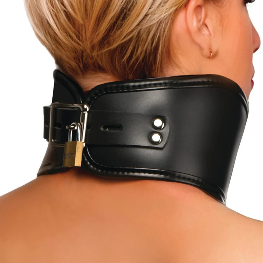1090-master-series-hard-stance-padded-posture-collar-1.webp