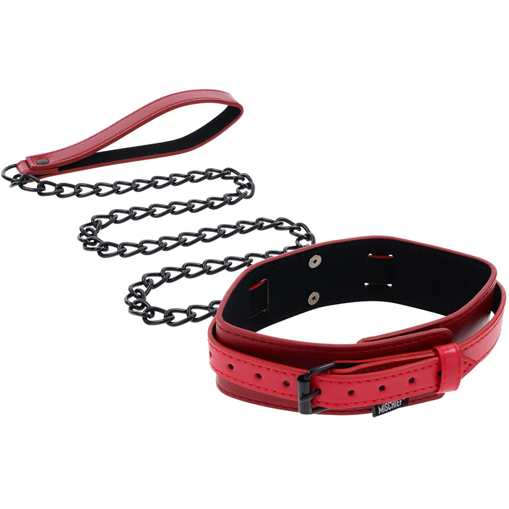 1104-ex-s-oh-s-collar-leash-1.webp