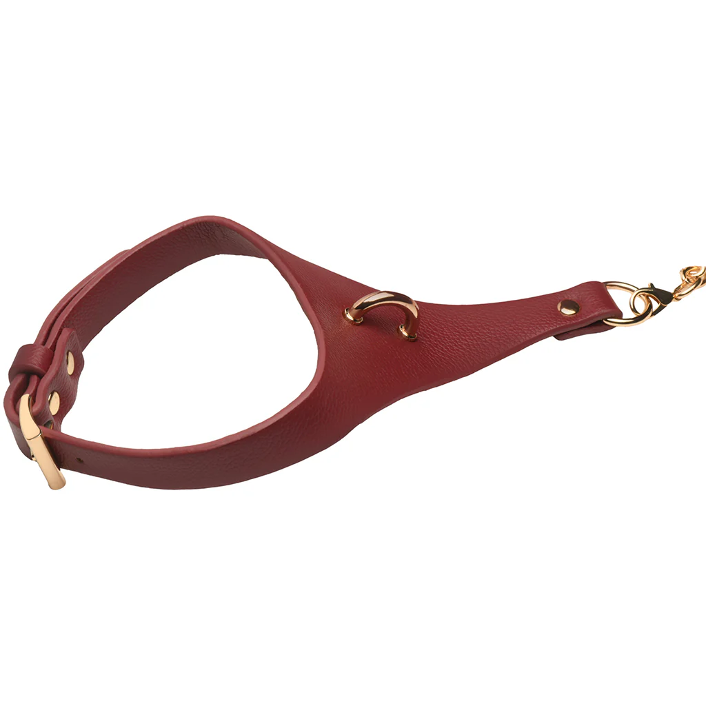 1110-master-series-captivate-collar-with-body-chain-in-red-1.webp