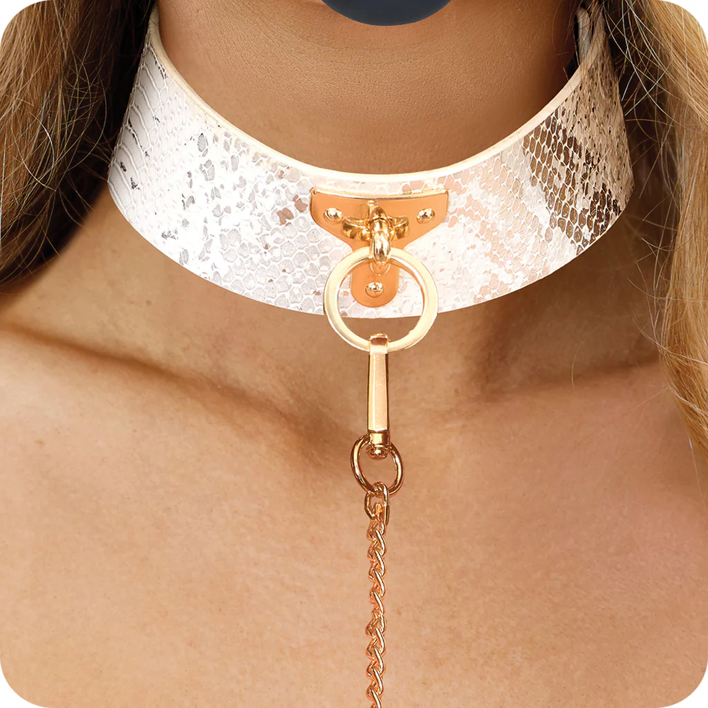 1114-ouch-florence-collection-collar-leash-1.webp