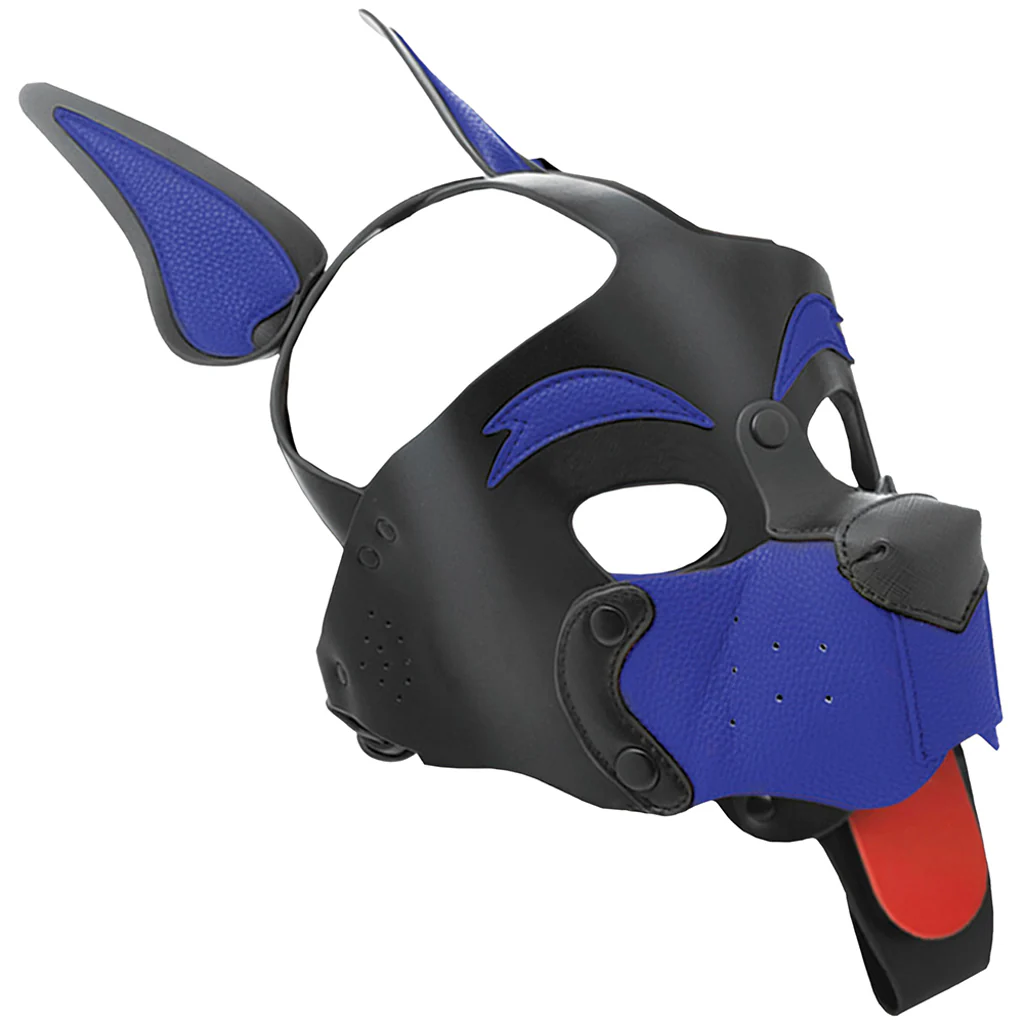 1226-kanine-kolection-alpha-dog-pup-hood-in-blue-1.webp