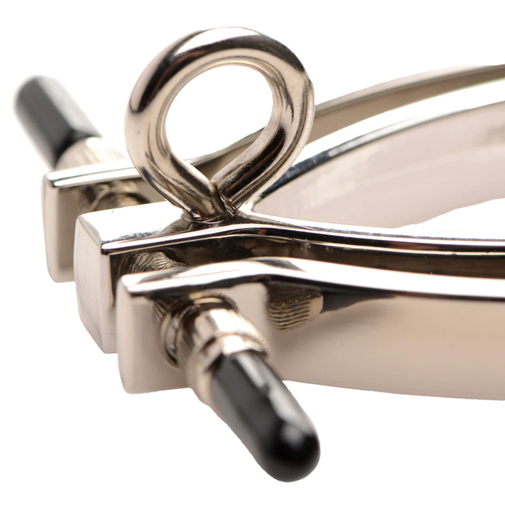 1291-master-series-pussy-tugger-pussy-clamp-and-leash-1.webp