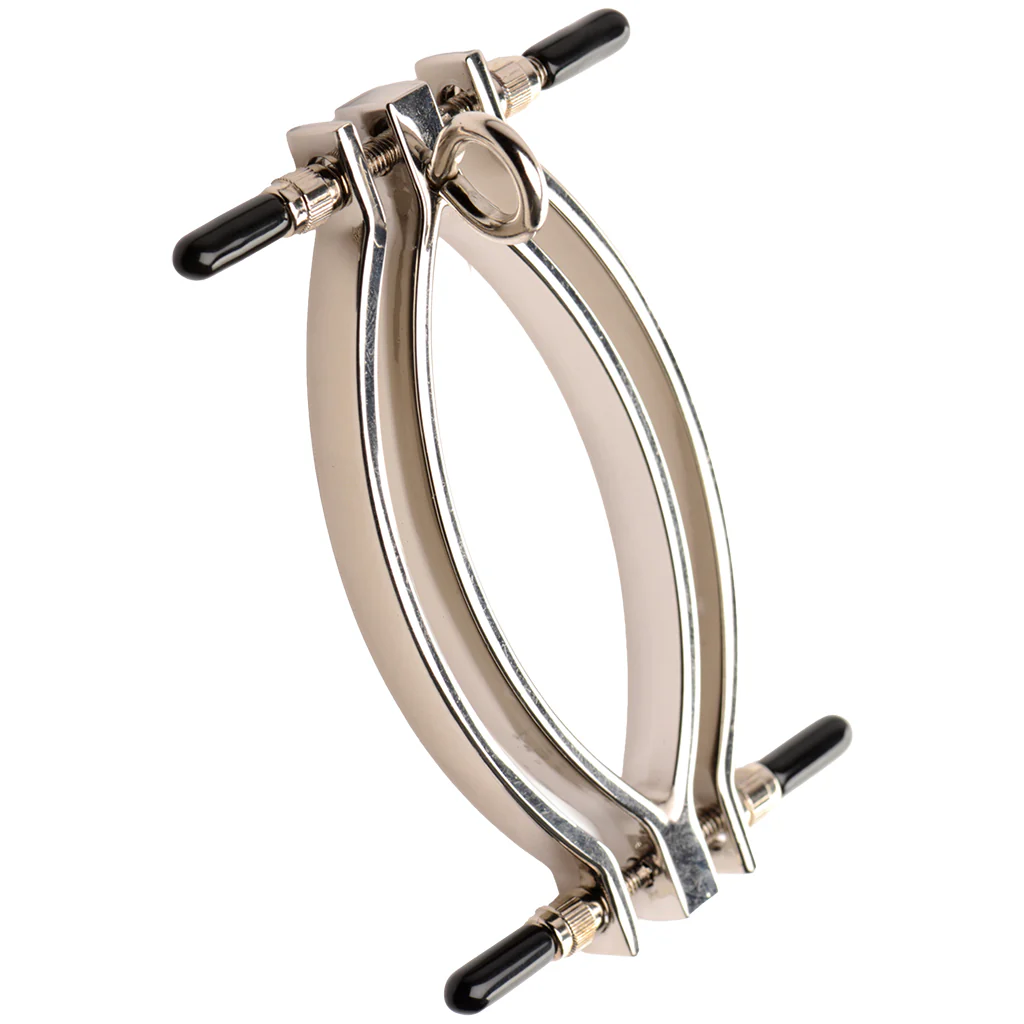 1291-master-series-pussy-tugger-pussy-clamp-and-leash-1.webp