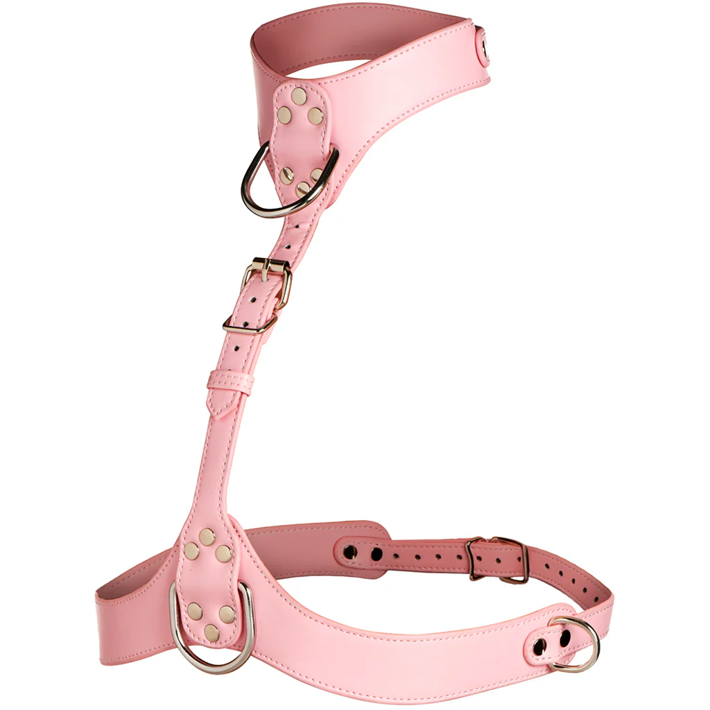 1393-master-series-vixen-chest-harness-in-pink-1.webp
