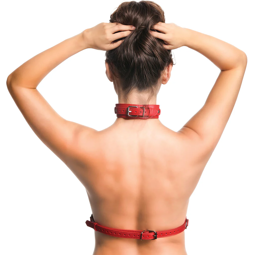 1418-master-series-vixen-chest-harness-in-red-1.webp