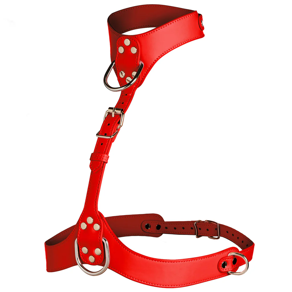 1418-master-series-vixen-chest-harness-in-red-1.webp