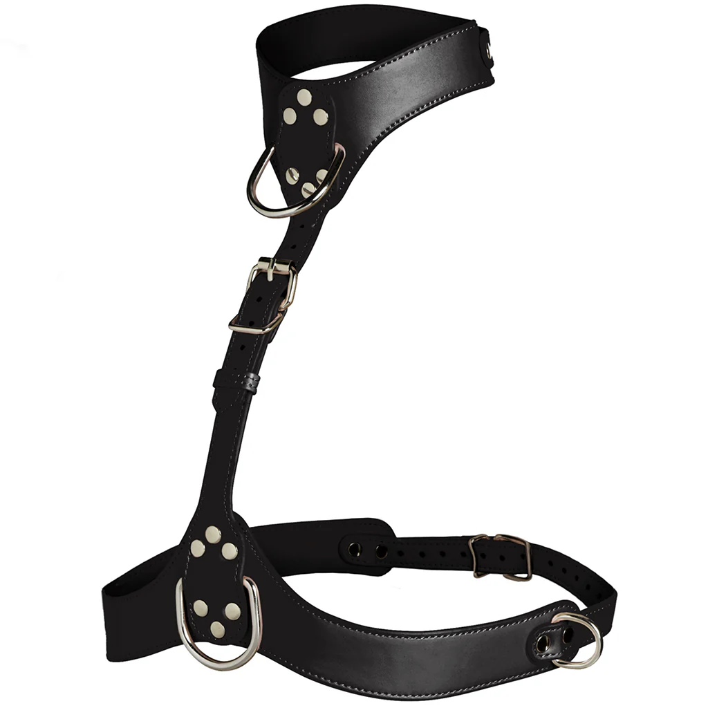 1419-master-series-vixen-chest-harness-in-black-1.webp
