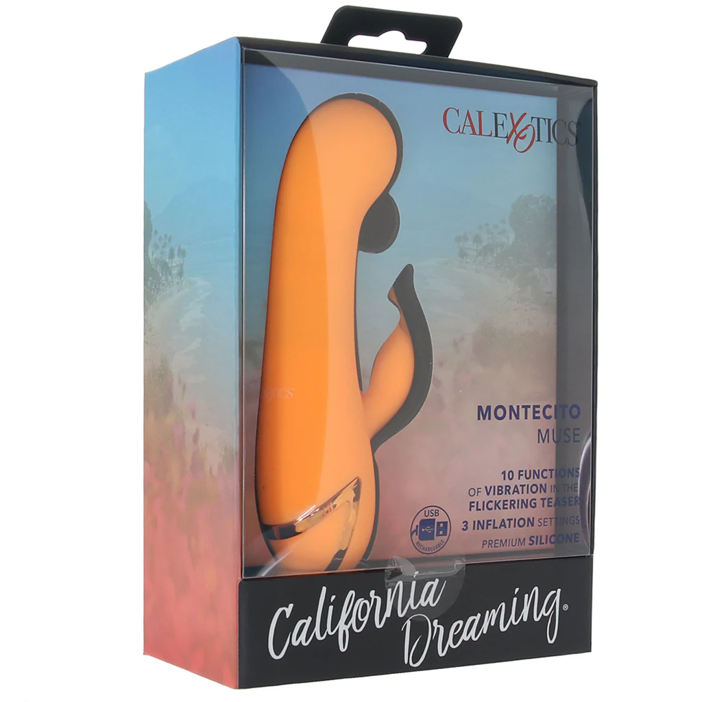 2168-california-dreaming-montecito-muse-vibe-1.webp