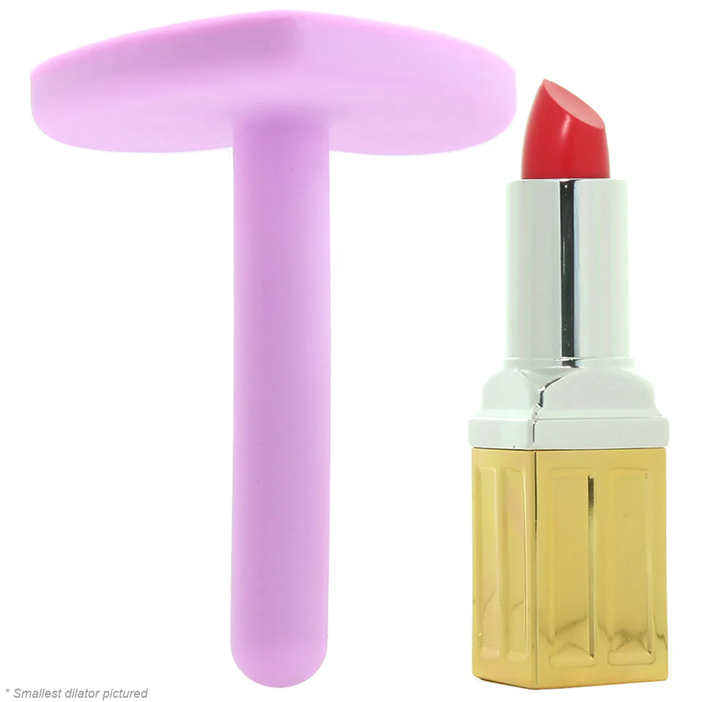 2806-wellness-4-piece-silicone-dilator-kit-in-purple-1.webp