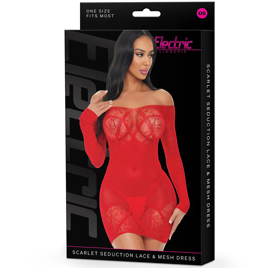 2945-scarlet-seduction-lace-mesh-dress-1.webp