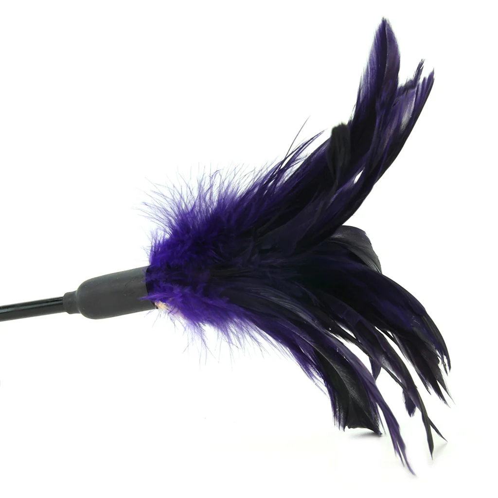 Starburst Feather Body Tickler in Violet