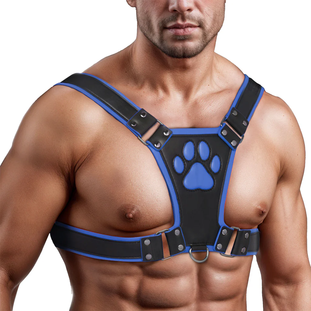 3722-master-series-alpha-pup-bulldog-harness-in-blue-1.webp