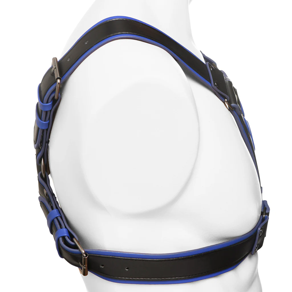 3722-master-series-alpha-pup-bulldog-harness-in-blue-1.webp
