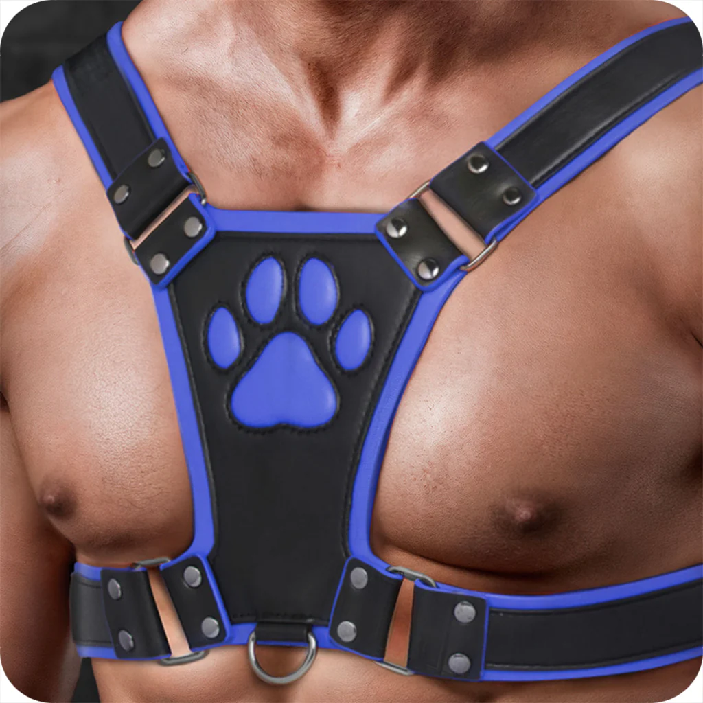 3722-master-series-alpha-pup-bulldog-harness-in-blue-1.webp