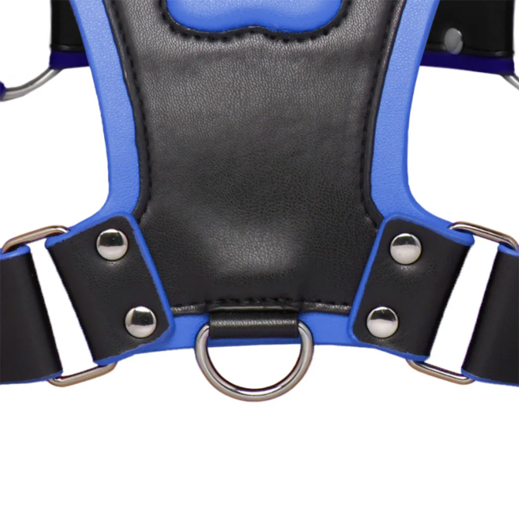 3722-master-series-alpha-pup-bulldog-harness-in-blue-1.webp