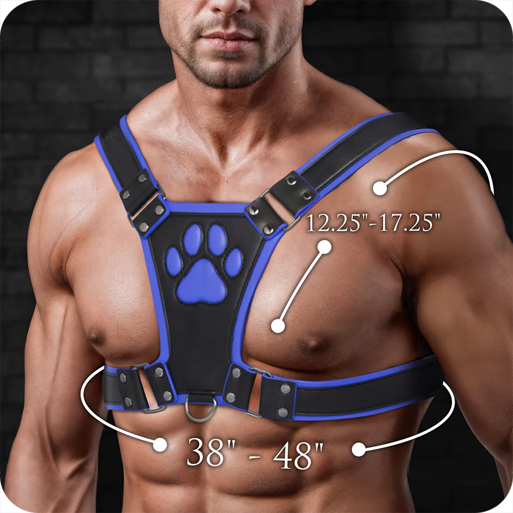 3722-master-series-alpha-pup-bulldog-harness-in-blue-1.webp