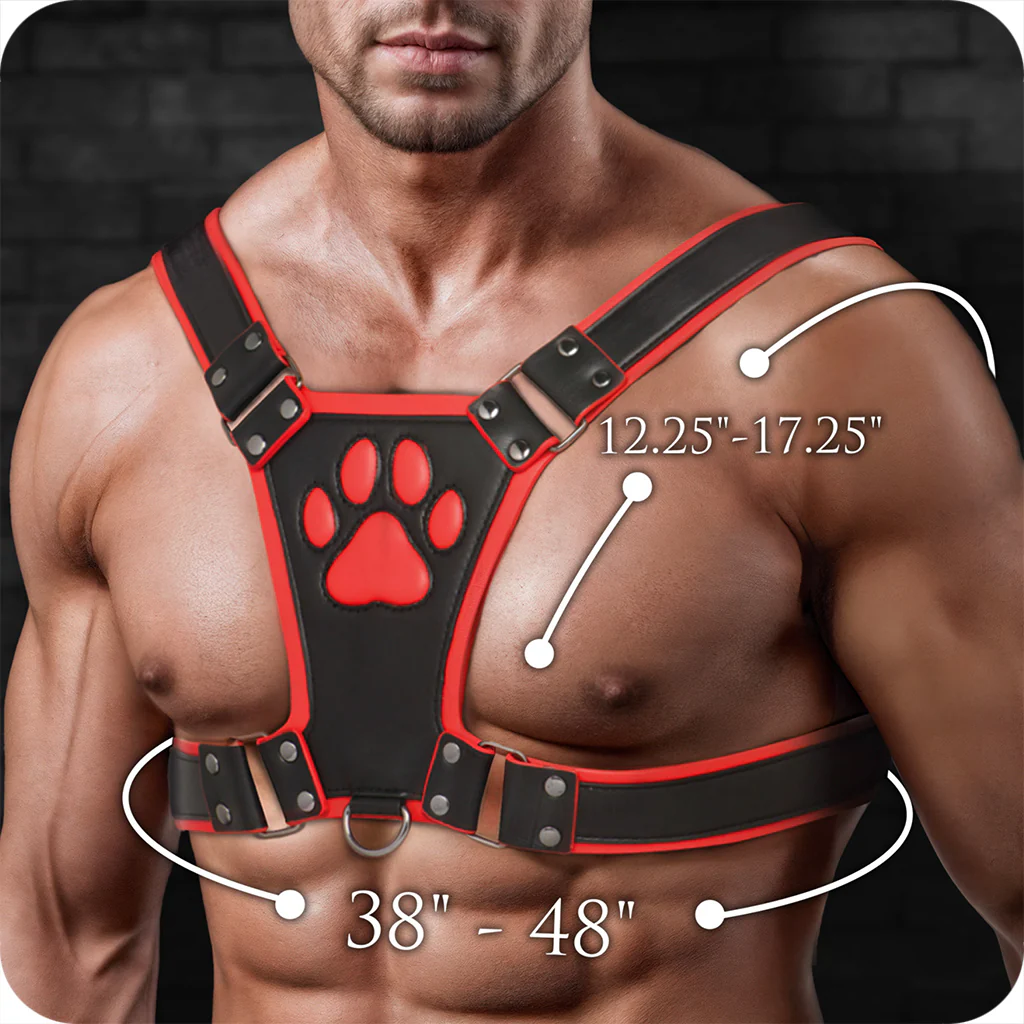 3724-master-series-alpha-pup-bulldog-harness-in-red-1.webp