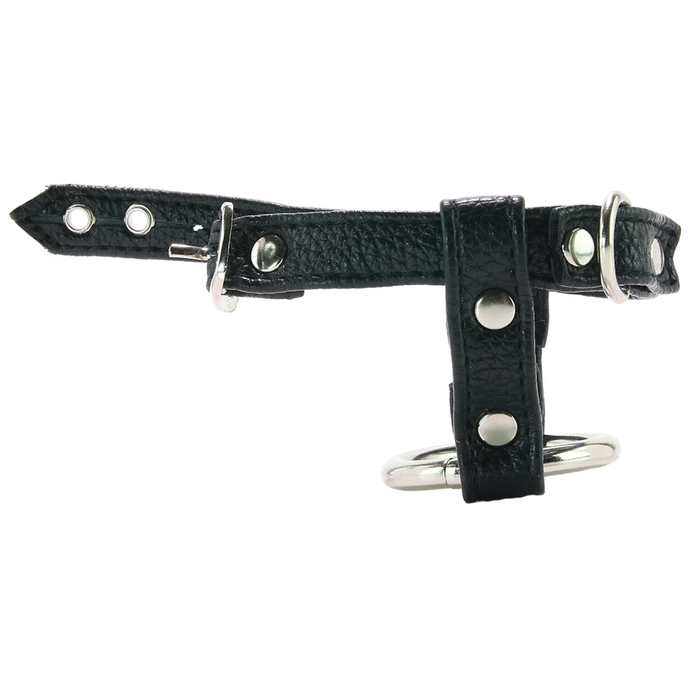 3781-blue-line-duo-cock-and-ball-lock-1.webp