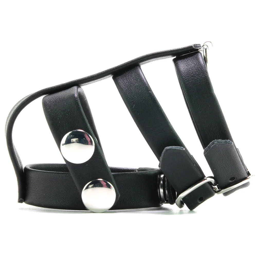 413-blue-line-double-cock-and-ball-strap-with-leash-lead-1.webp