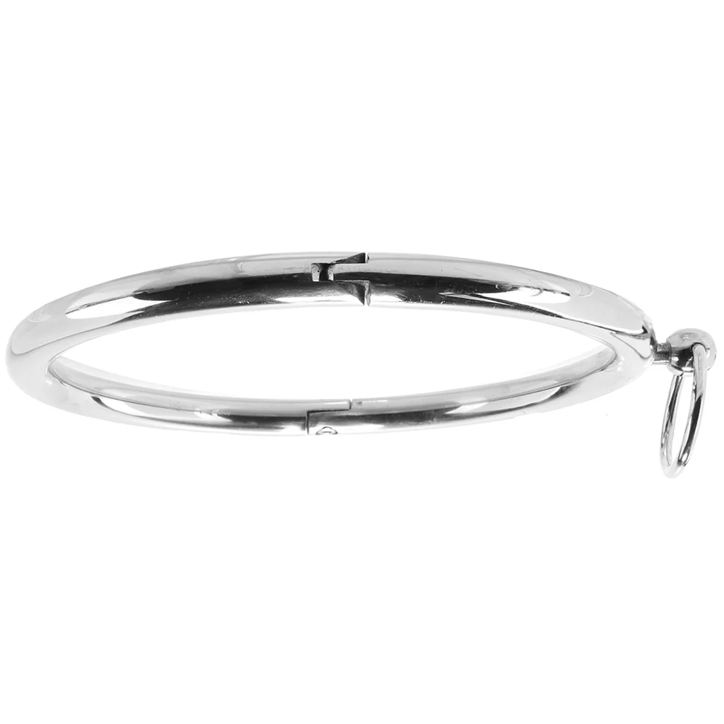 4720-stainless-steel-collar-1.webp