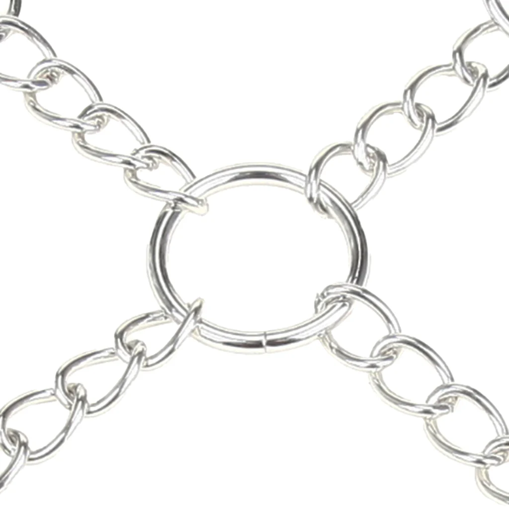 4733-deluxe-chain-hogtie-1.webp