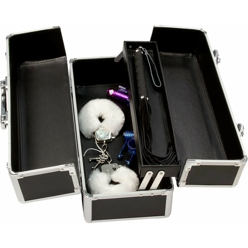 Simple and True Lockable Large Vibrator Case in Black