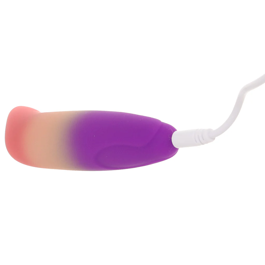 5029-play-with-me-dolphin-dreams-g-spot-vibe-1.webp