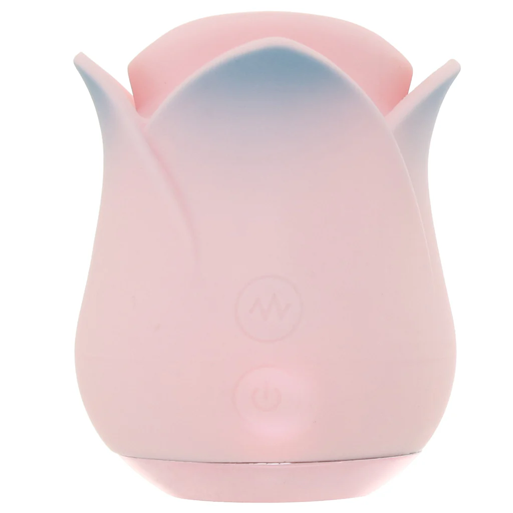 5037-blush-kissing-rose-vibe-1.webp