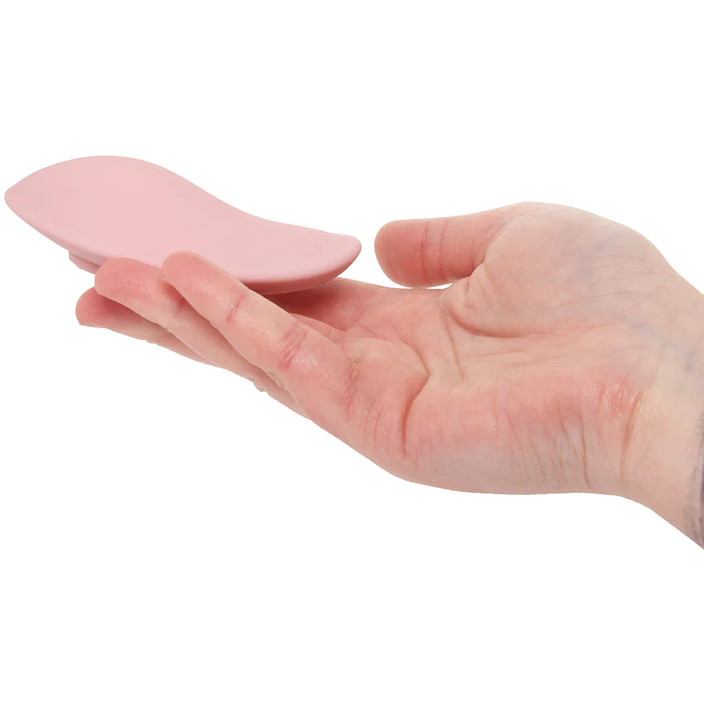 5084-loveline-c-leste-remote-control-panty-vibe-1.webp