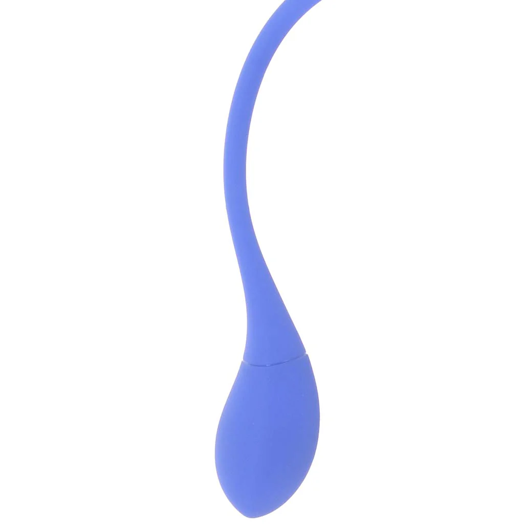 5098-all-in-thrusting-vibe-with-anal-probe-1.webp