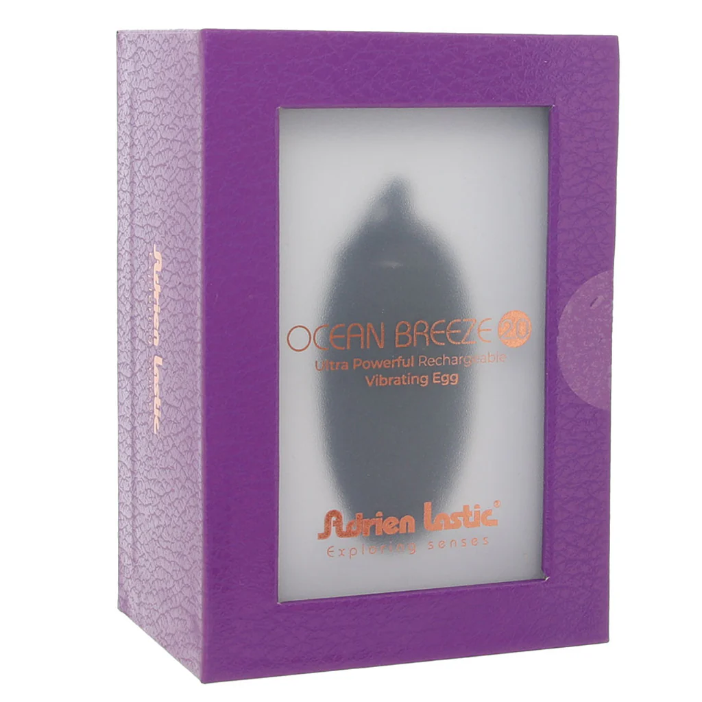 5252-ocean-breeze-2-0-remote-egg-vibe-in-black-1.webp