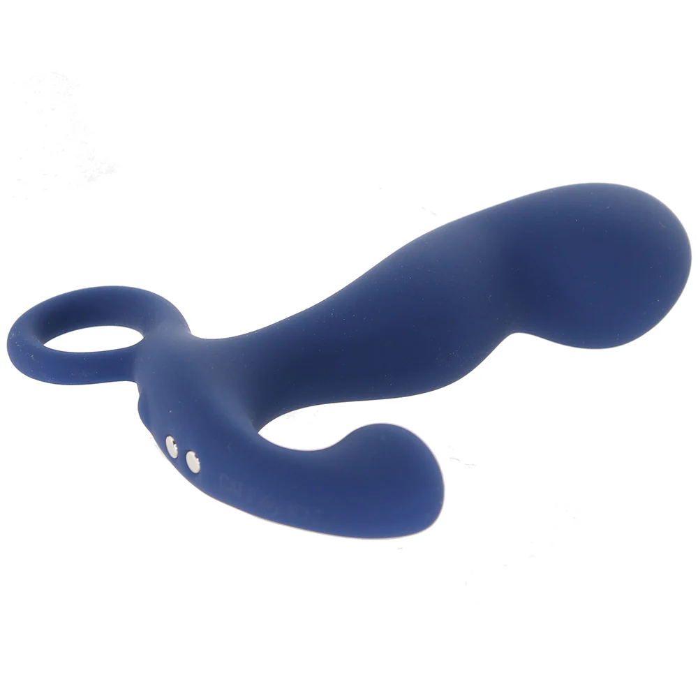 583-viceroy-rechargeable-command-anal-probe-1.webp