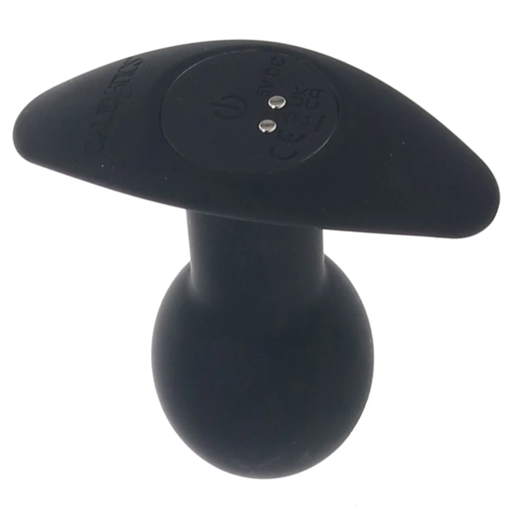 679-rock-bottom-pop-probe-1.webp