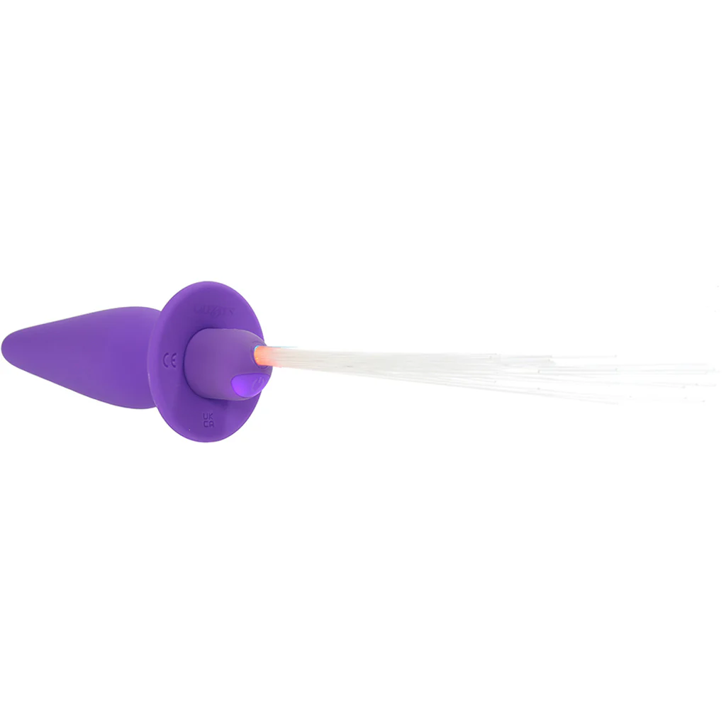 687-southern-lights-vibrating-butt-plug-in-purple-1.webp