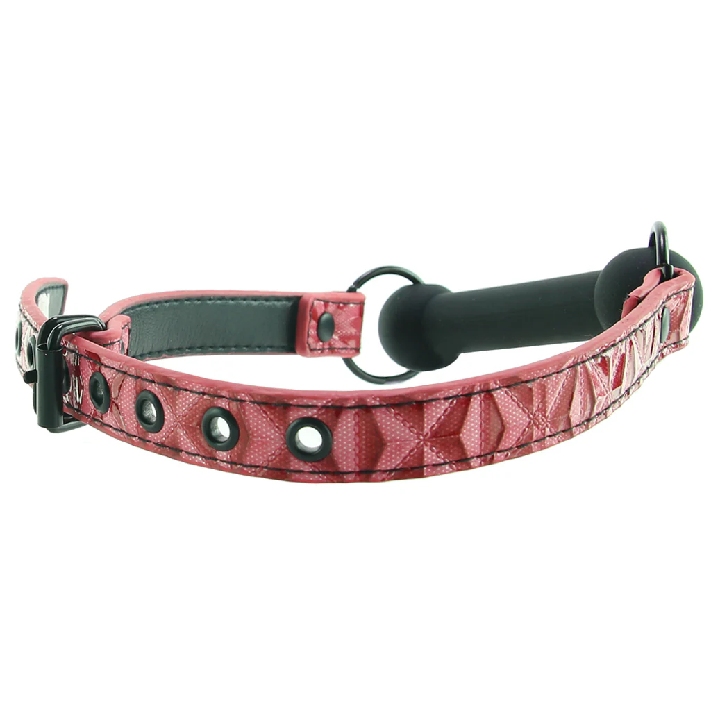 966-sinful-bar-gag-in-pink-1.webp